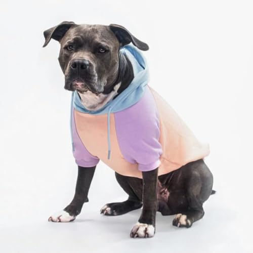 Dog Hoodie Buttery (Cotton Candy / 3XL)