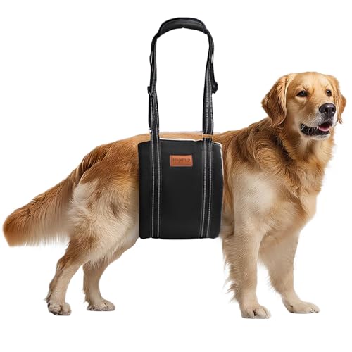 Dog Lift Harness for Large Dogs (Large (Pack of 1) / Black)