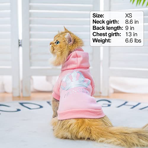 Princess Dog Hoodie (XS (Back: 10",Chest: 15", Neck: 12") / Pink(Prinecss))