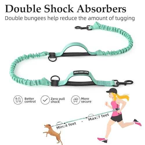 Hands Free Leash (Soild Teal / 7FT Hands Free)