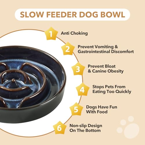 Raised Slow Feeder Dog Bowls (1 x Starry Sky + Stand - A / L- 8.2inch / 1.6 Cups)