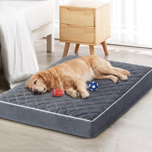 Orthopedic Waterproof Extra Large Senior Dogs Bed for Comfy Sleep (Grey / 42"L x 30"W x 4"Th)