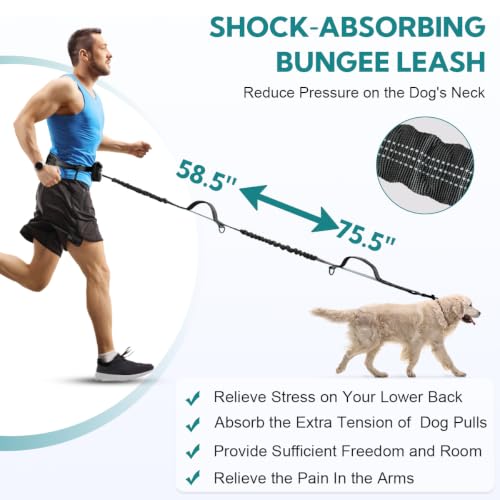 Hands Free Dog Leash with Pouch (Black/Olive Green)