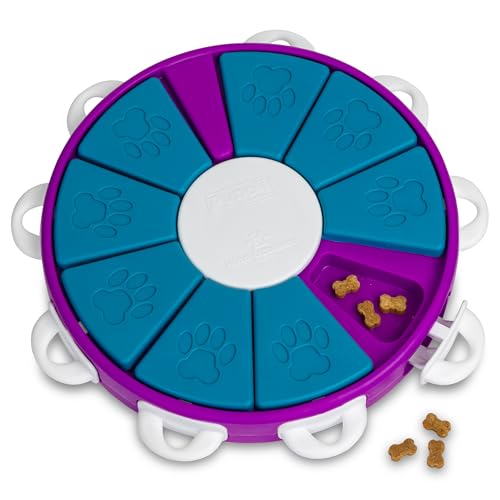 Nina Ottosson Dog Twister Dog Toy Treat Puzzle (Dog Twister (Purple, Blue) / 1 Count (Pack of 1))