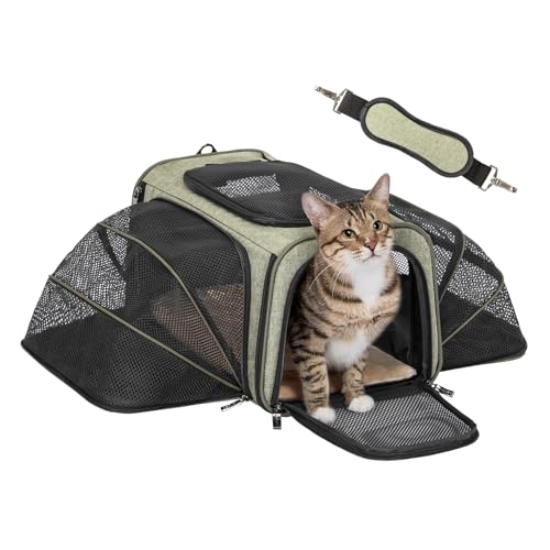 Small Double Expandable Cat Carrier for Kittens and Air Travel (16.0"L x 10.0"W x 9.0"H / Green)