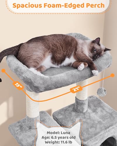 63in Sturdy Large Cat Tree for Indoor Heavy Cats (Light Gray / 63in)