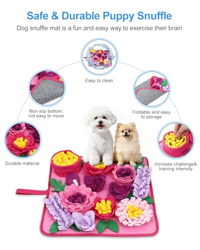 Snuffle Mat for Dogs