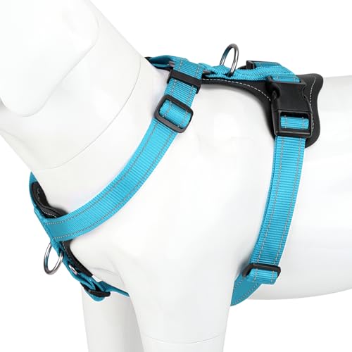 No Pull Dog Harness with Leather Accents (L / Light Blue)
