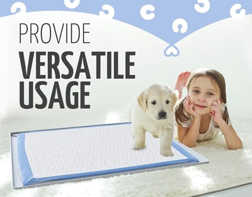 Dog Pee Pad Holder Tray Fits for 30” x 23” Pee Pads (30 x 23 Inches / Sky Grey)