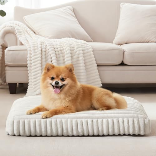 Dog Beds for Small Dogs (Cream / S(23"x18"x3"))