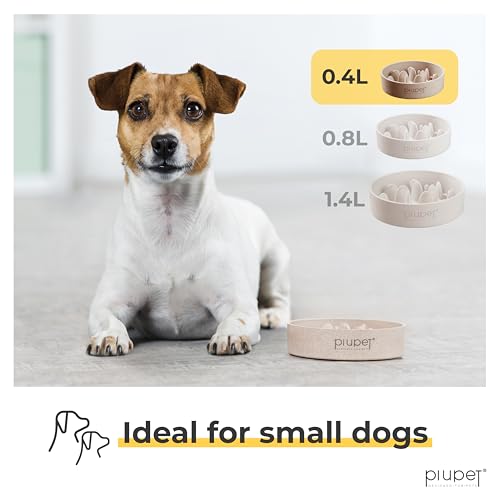 Slow Feeder Dog Bowl (13 fl oz)