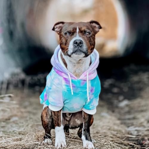 Dog Hoodie Buttery (90s Retro Sky Dye / X-Large)