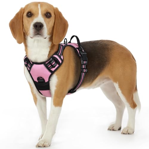 Dog Harness for Small Dogs (Small / Pink)