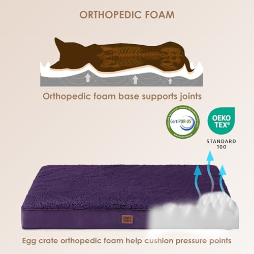 Orthopedic Dog Bed Extra Large with Removable Washable Cover (50*36*4 inches / Purple)