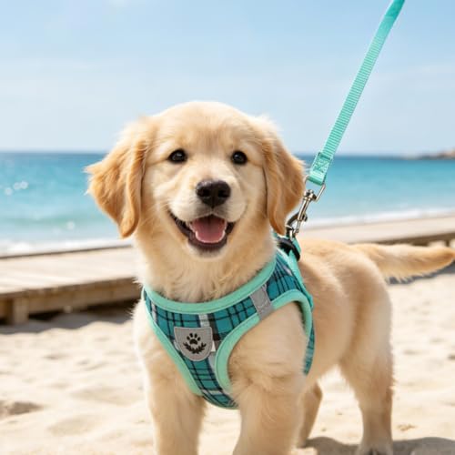 Dog Harness Collar and Leash Set No Pull for Small Medium Sized (Lake Green / L (CHEST 18"-20"))