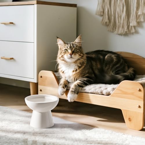 Extra Wide Elevated Ceramic 6.2" Deeper Cat Water Bowl (White-Deeper)
