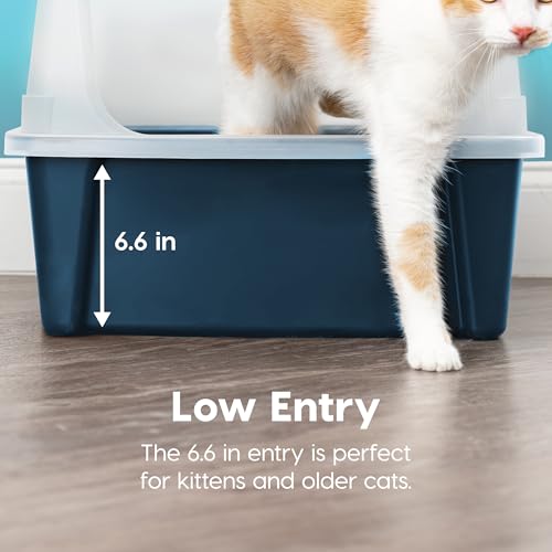 XX Large High Sided Cat Litter Box (XXL / Navy)