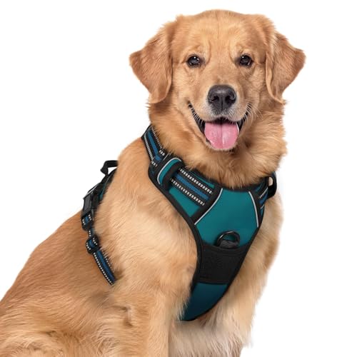 Dog Harness No Pull with 2 Leash Clips (X-Large / Blue Coral)