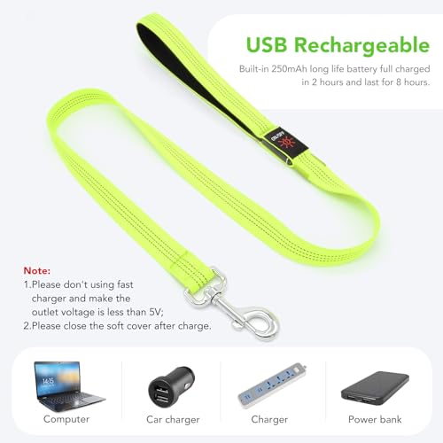 LED Light Up Dog Leash (Green (New) / 4FT)