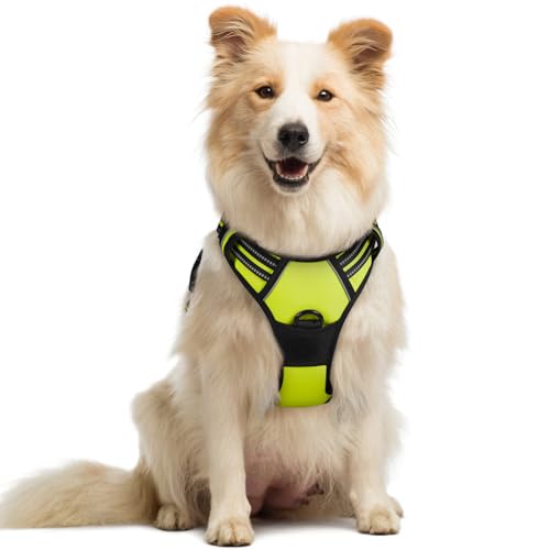 Dog Harness No Pull Medium Sized with 2 Leash Clips (Medium / Wild Lime)