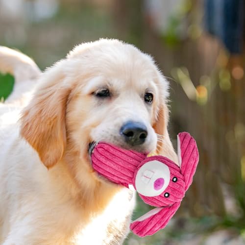 Dog Toys Squeak
