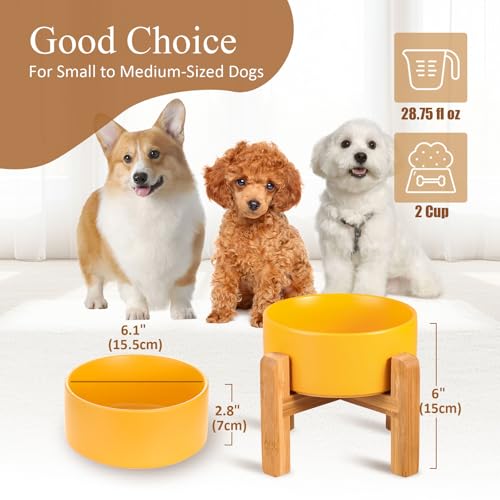 Ceramic Elevated Dog Bowl with Bamboo Stand (Medium / Yellow)