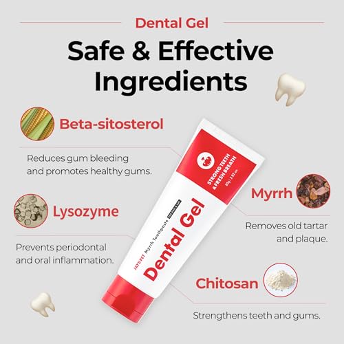 Dental Gel Dog Cat Toothpaste (Toothpaste / 1 Count (Pack of 1))