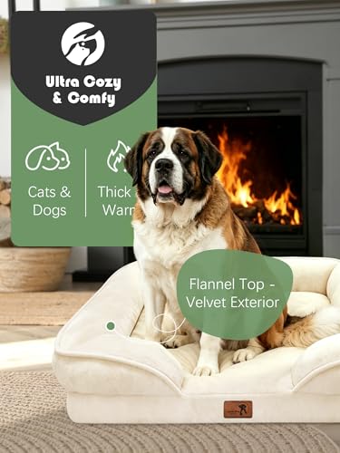 Orthopedic Dog Bed with Sides (53.0"L x 42.0"W x 8.0"Th / Ivory)