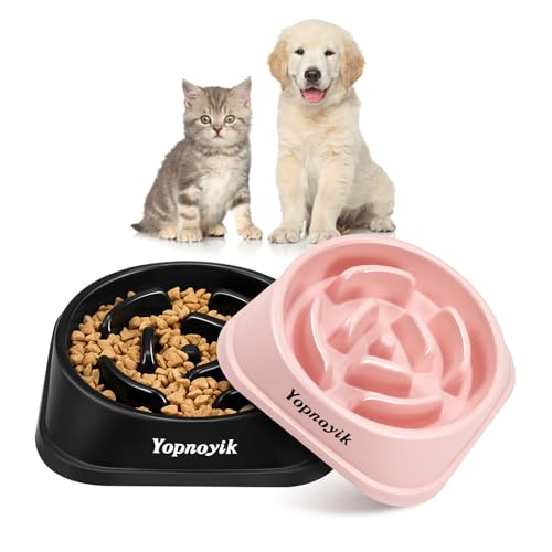 2 Pack Slow Feeder Dog Bowls for Small Dogs (Small / Black and Pink)