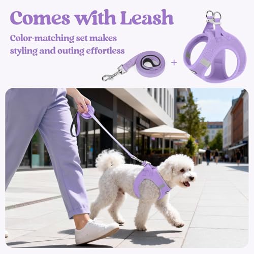 Dog Harness Medium Sized and Leash Set (Light Purple / Xl (chest: 20 - 21.8"))