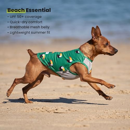 2 Pack Toucan & Palm Tree UPF 50+ Sun UV Protection Dog Shirt (X-Small / Toucan & Palm Tree)