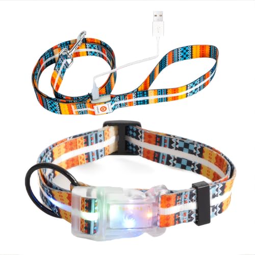 Ight Up LED Dog Leash and LED Dog Collar Set USB Rechargeable Waterproof (Bohemian Orange / 1.5m Leash+10-25in Collar Can be Crop)