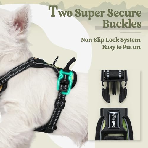 Dog Harness No Pull for Small Dogs with 2 Leash Clips (X-Small / Green Mountain)