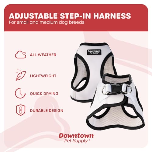 Step in Dog Harness for Small Dogs No Pull (Medium / Doodle)