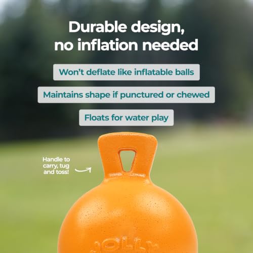 Tug-n-Toss - Heavy Duty Chew Ball w/ Handle (Orange, 6") (Orange / Medium (6 in))