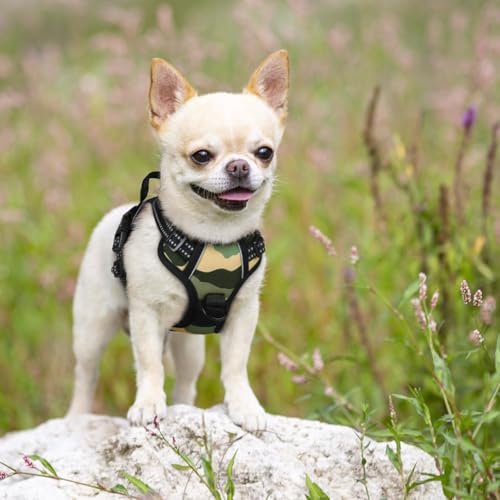 Dog Harness No Pull for Small Dogs with 2 Leash Clips (X-Small / Green Mountain)