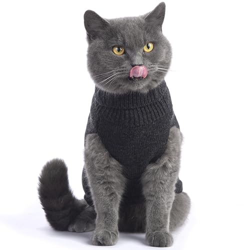 Cat Sweater Stretchy (Dark Gray / Small)