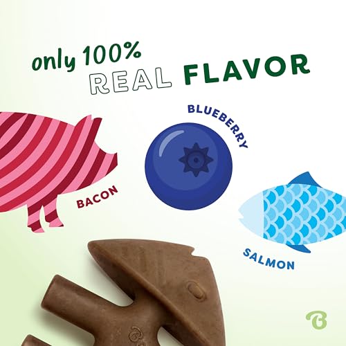 Blueberry Medium 4 (Medium / Limited Edition 4 Pack)