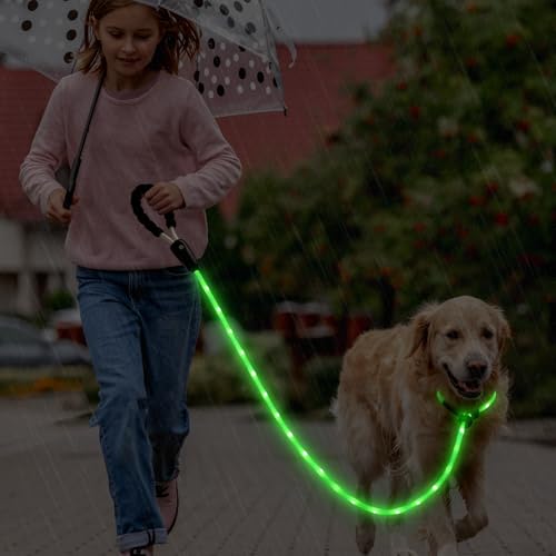Light Up Dog Leash with Collar 2 (Multi-colored)