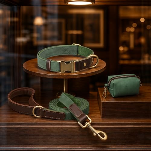 PU Leather Dog Leash for Medium Dogs (Green / 3/4''x 5FT)