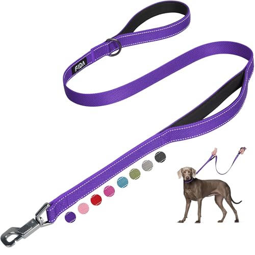 Heavy Duty Dog Leash for Medium Large Dogs (4 Feet (Pack of 1) / Purple)