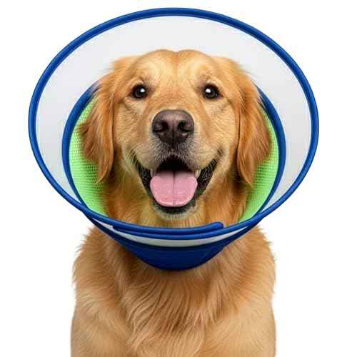 Soft Dog Cone Collar After Surgery (XLA)