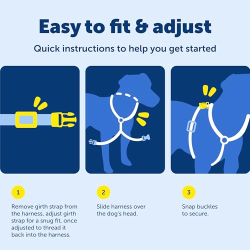 EasySport Dog Harness (Small / Charcoal)