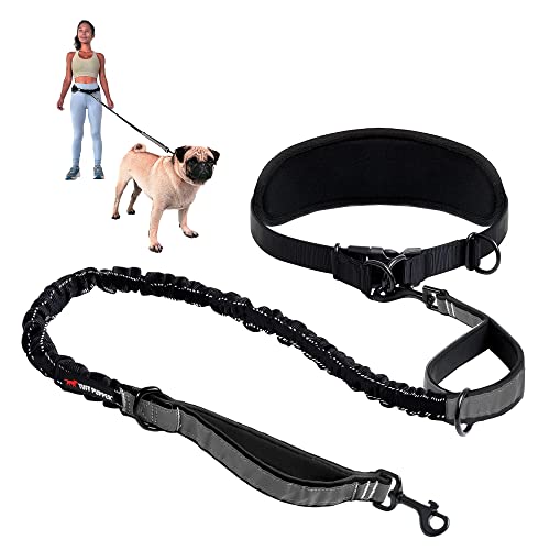 Hands Free Bungee Dog Leash - PetSolution