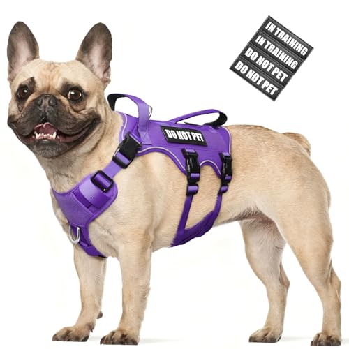 Escape Proof Dog Harness with Double Handle+4 Removable Patches (Medium / Purple)