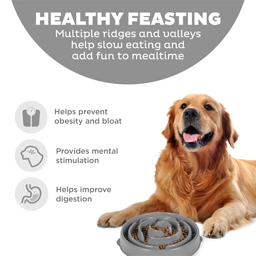 Fun Feeder Slo Bowl Dog Slow Feeder (Gray / Large)