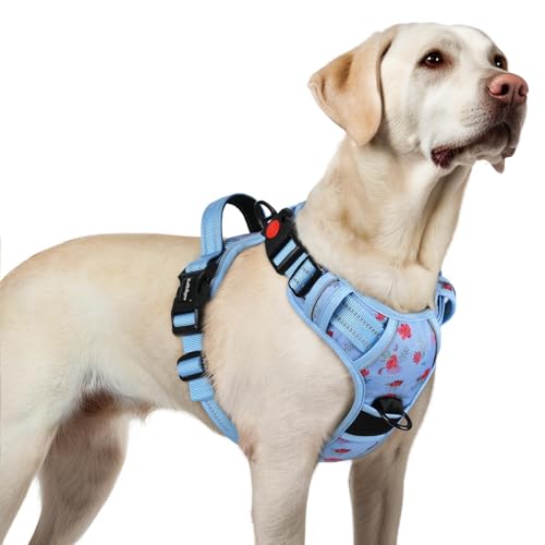 Dog Harness for Large (Large / Floral Blue)