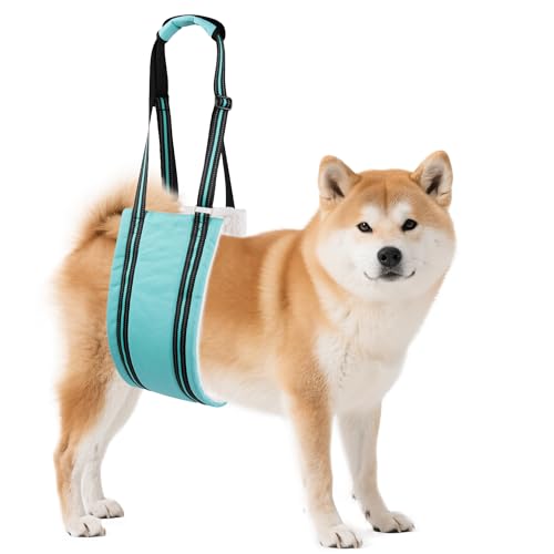 Adjustable Dog Sling Dog Lift Harness Hind Leg Support (Turquoise / M)