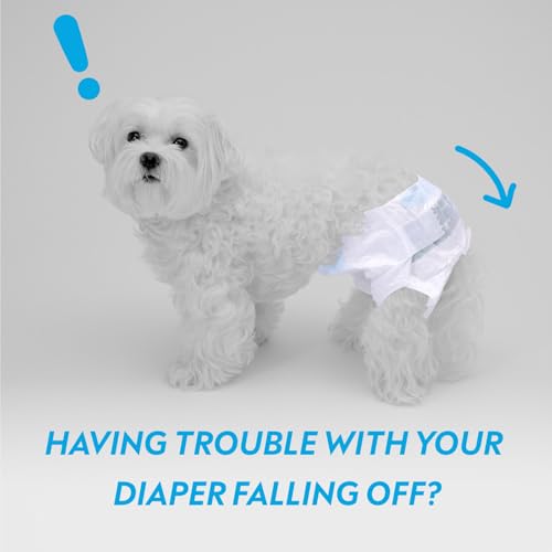 Stay Put Dog Diaper Holder (Diaper Holder)