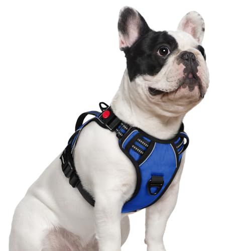 Large Dog Harness (Small / Blue)